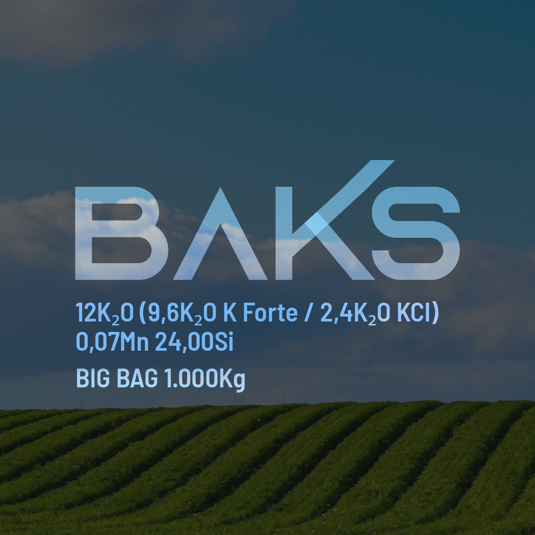 BAKS 12K2O (9,6K2O K Forte/2,4K2O KCl) 0,07Mn 24,00Si - Big Bag